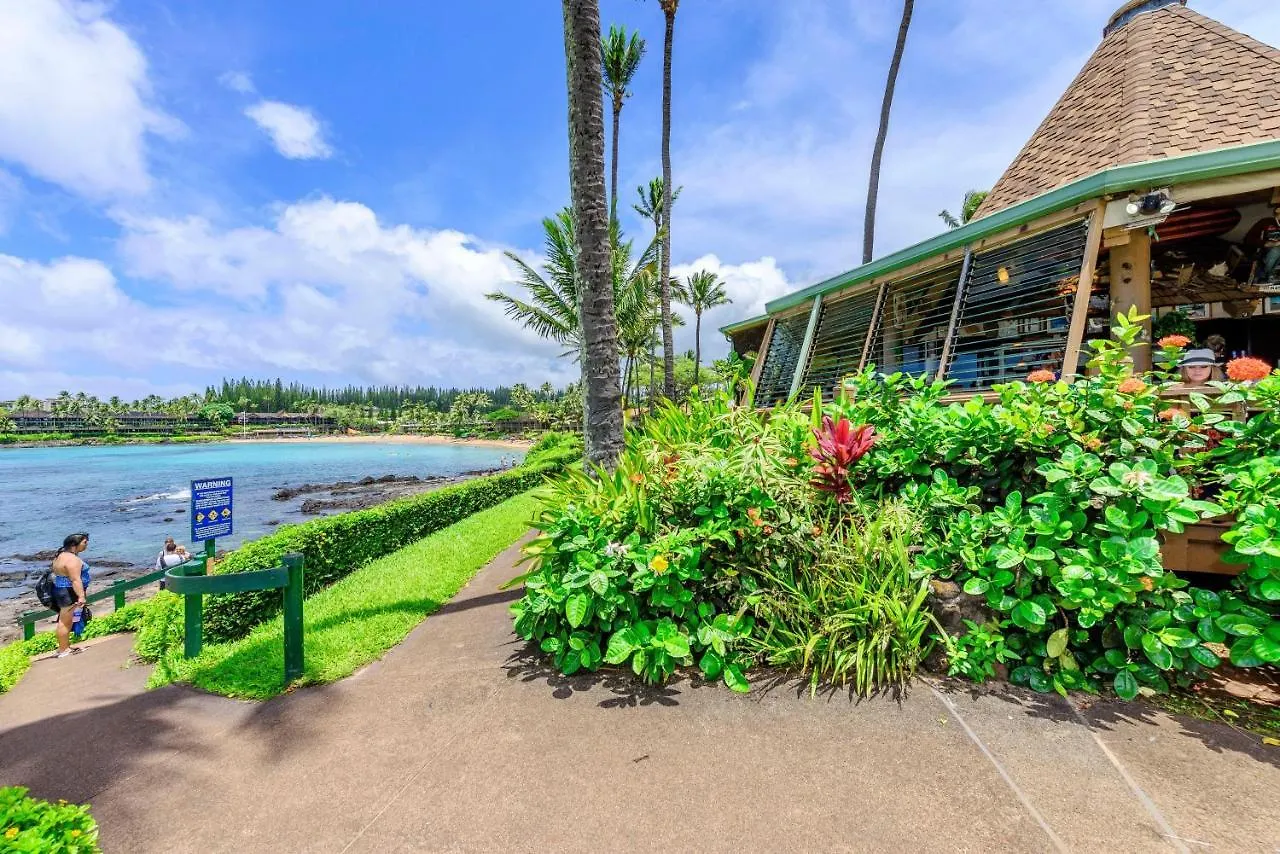 Napili Shores I270 Kahana