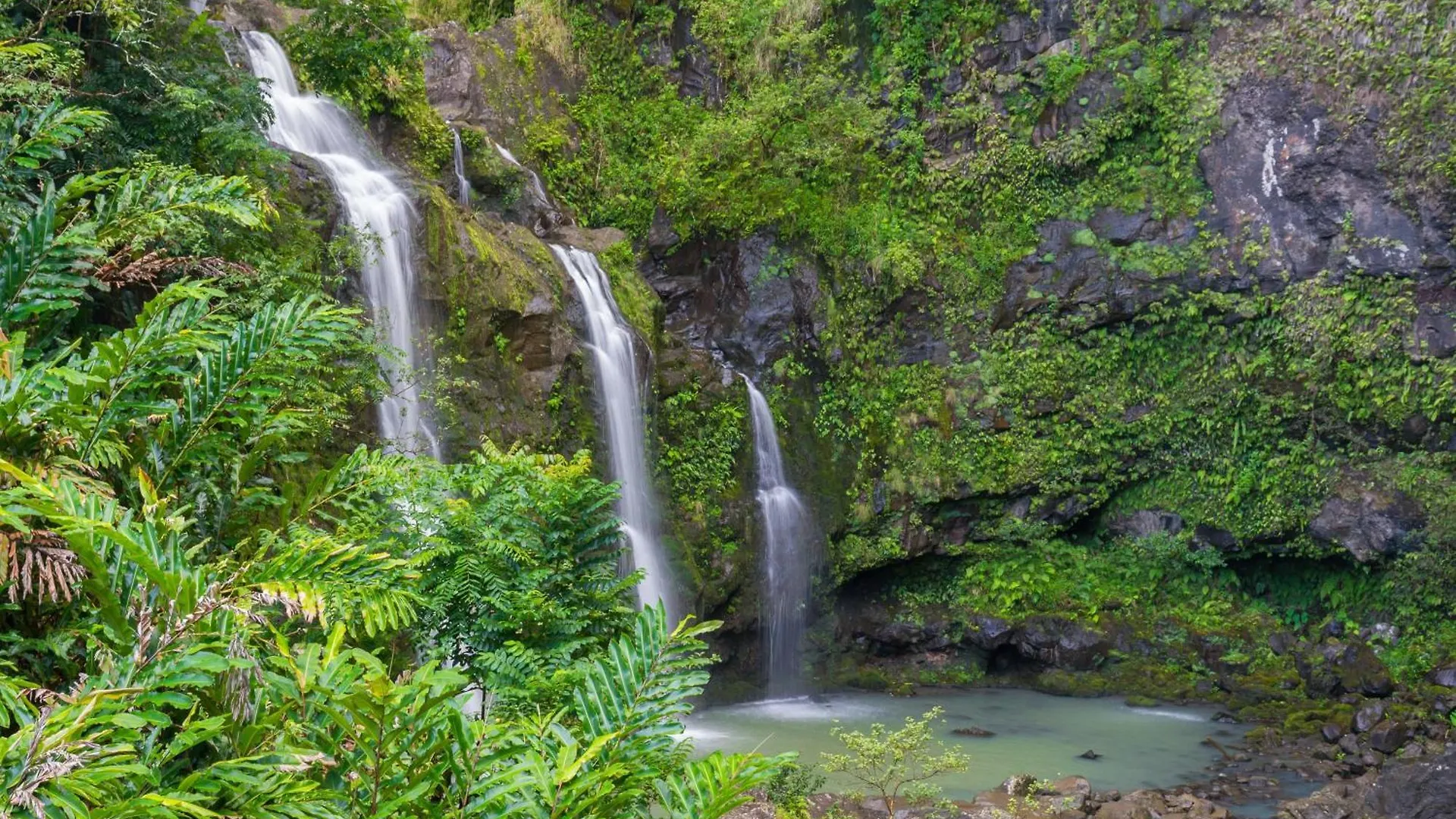 Napili Shores I270 Kahana