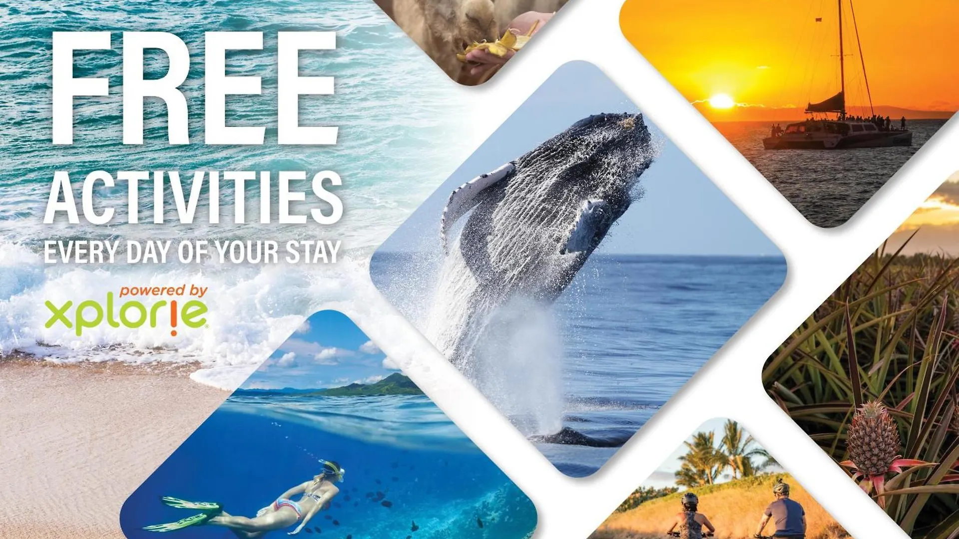 Apartamento Napili Shores I270 Kahana Estados Unidos da América